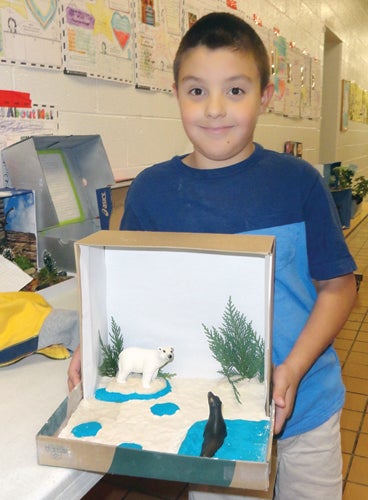 Photo by Abby Morris-Frye Animal habitat project Camdin Arrigo, a second grader at Valley Forge Elementary, shows off his animal habitat project. He chose to demonstrate the natural environment for polar bears and seals.