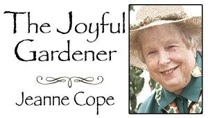 The Joyful Gardener