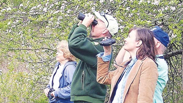 Contributed Photo Bird watching will be just one of a number of observational activities at the Natualists' Rally.