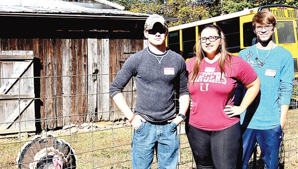 Star Photo/Rebekah Price  Supervised Agricultural Experience students Jacob Graybeal, Savannah Wood and Israel Harrah maintain the farm and livestock at the Drop Collaborative, which involves bottle-feeding a calf 2-3 times daily among other work.