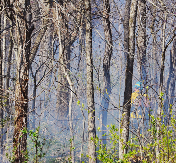 Burn permits required through midMay