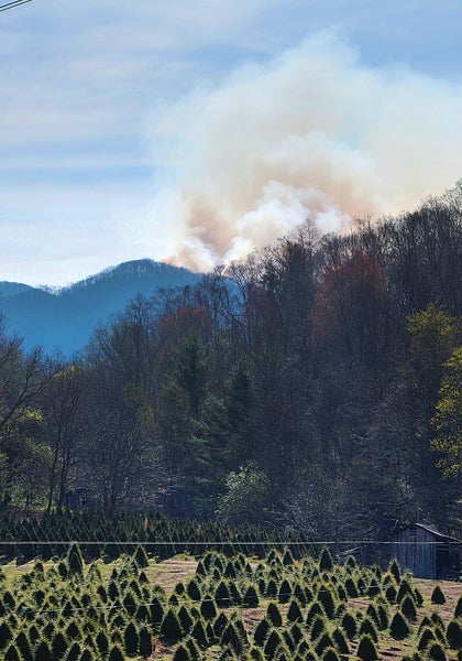 Star Photo/Rebekah Price  Even from Highway 19E facing the backside of the mountain on which the Roan Mountain fire is burning, the damage Tuesday was obvious.