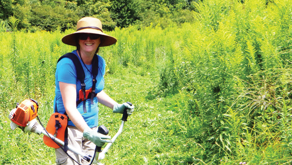 Contributed Photo A volunteer at last year's spring cleaning clears overgrown brush at Hampton Creek Cove.