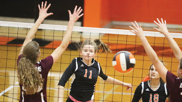 Elizabethton downs pesty Longhorns - www.elizabethton.com ...