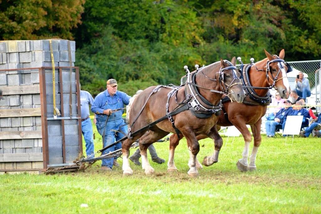 Blue Ridge Horse Pullers Association thrills crowds at Hampton Event