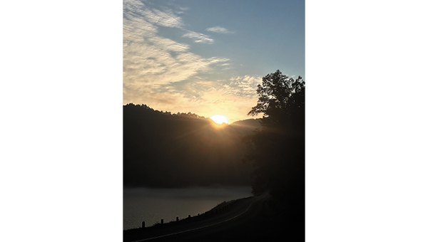 Sunbeams